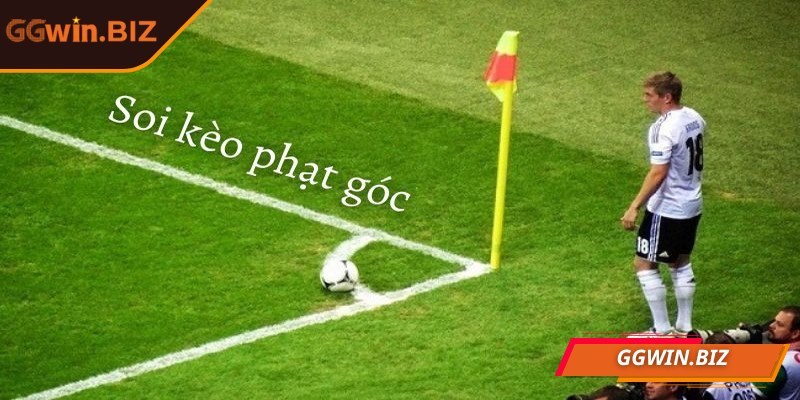 Chúng ta cũng cần học hỏi các mẹo từ người chơi lâu năm