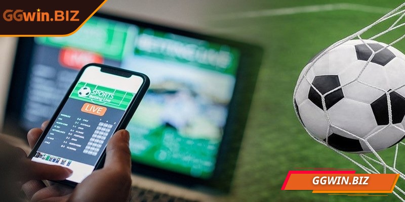 Nhà cái cung cấp dữ liệu minh bạch và đáng tin cậy